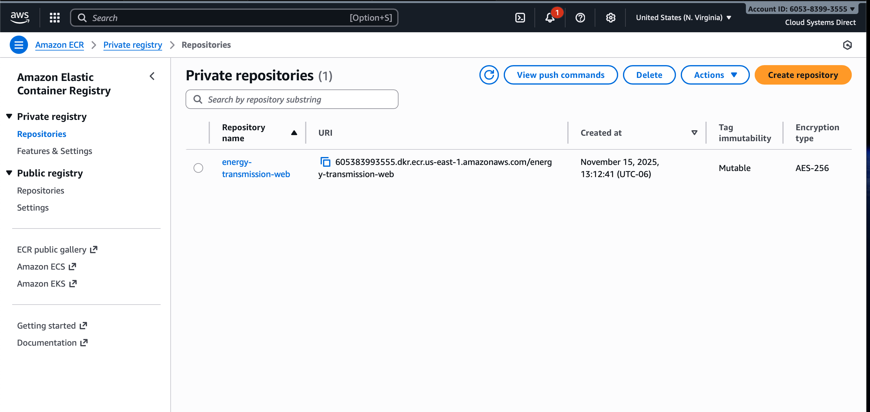 AWS ECR service configuration